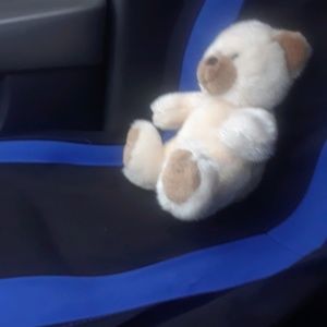 Meet your Posher, Angel